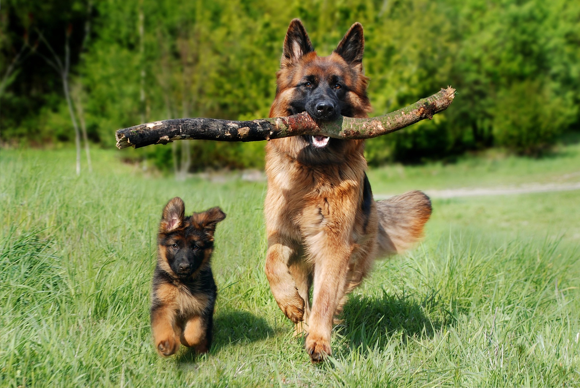 Like mother, like daughter (German)